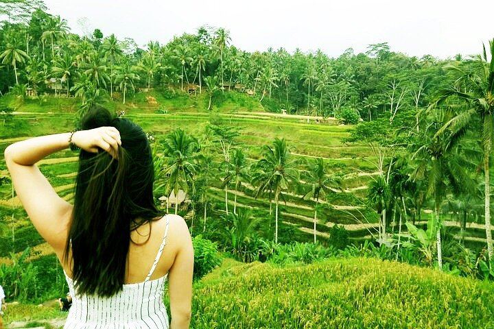 Private Ubud Tour: Sumampan Waterfall, Monkey Forest, Rice Terraces and Swing (8/12)
