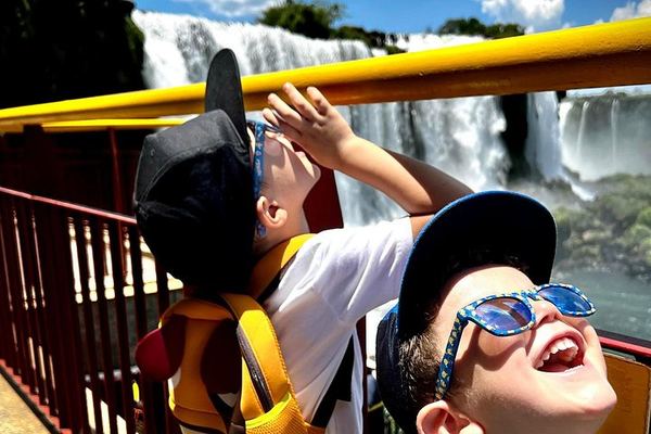 Private Iguassu Falls Brazilian Side Tour with City Drive and Tri-Border Photo Stop