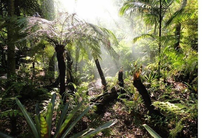 Private Iguassu Falls Brazilian Side Tour with City Drive and Tri-Border Photo Stop (5/10)