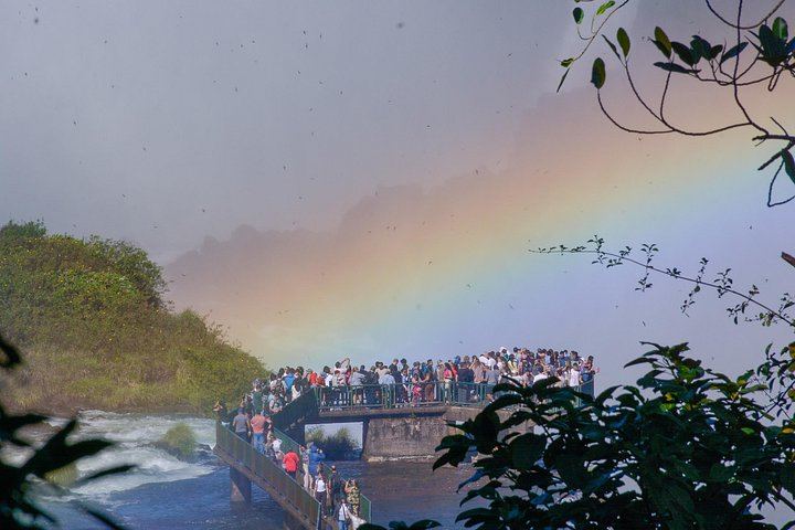 Private Car and Guide to Iguassu Falls Brazilian Side and Bird Park, Foz do Iguacu (7/12)