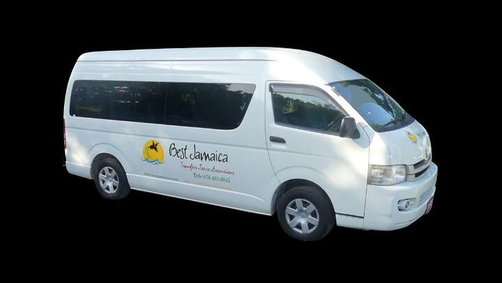 Private Blue Hole Secret Falls Excursion by Best Jamaica Tours, Dunns River Alternative (2/4)
