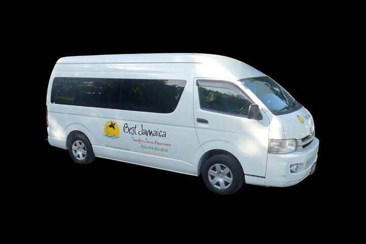 Private Blue Hole Secret Falls Excursion by Best Jamaica Tours, Dunns River Alternative (2/4)