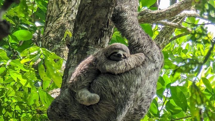 Private 8-Hour Central Pacific Day Trip: Waterfall Jumps, Beaches and Costa Rican Lunch (1/12)