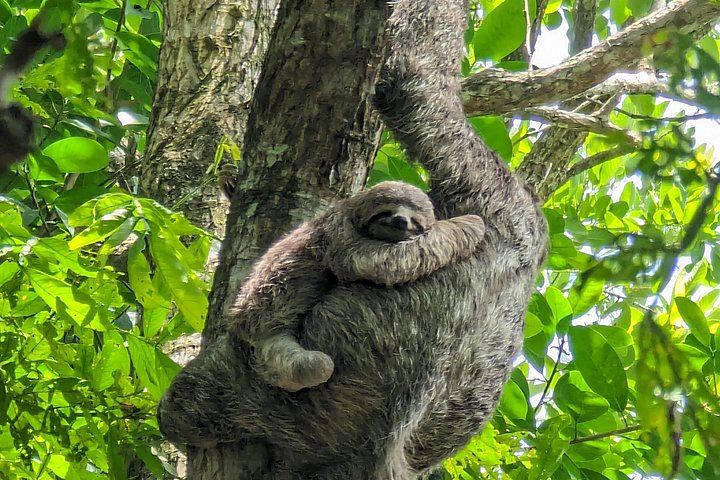 Private 8-Hour Central Pacific Day Trip: Waterfall Jumps, Beaches and Costa Rican Lunch (1/12)