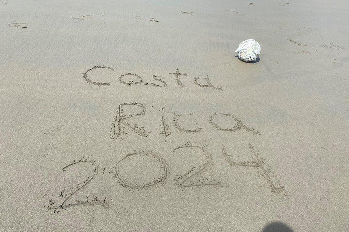 Private 8-Hour Central Pacific Day Trip: Waterfall Jumps, Beaches and Costa Rican Lunch (7/12)