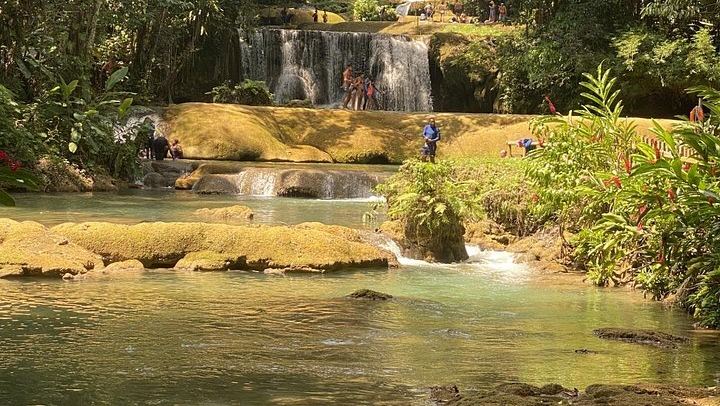 Private YS Falls Zipline and Rope Swing Day from Montego Bay for Up to Six Travelers (3/6)