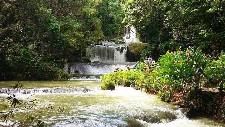 Private Black River Safari, YS Falls and Pelican Bar Day from Montego Bay with Entry Fees (4/12)