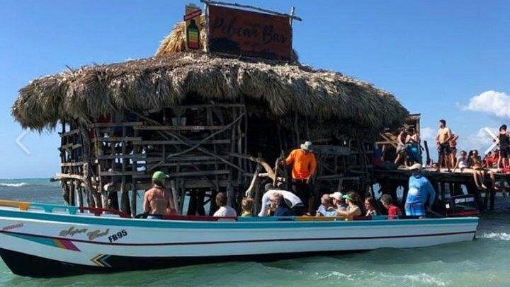 Private Black River Safari, YS Falls and Pelican Bar Day from Montego Bay with Entry Fees (2/12)