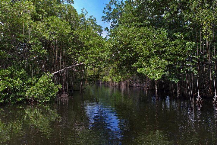 Private Black River Safari, YS Falls and Pelican Bar Day from Montego Bay with Entry Fees (7/12)