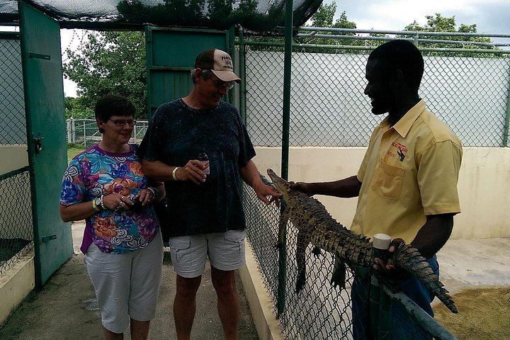 Private Black River Safari, YS Falls and Pelican Bar Day from Montego Bay with Entry Fees (9/12)