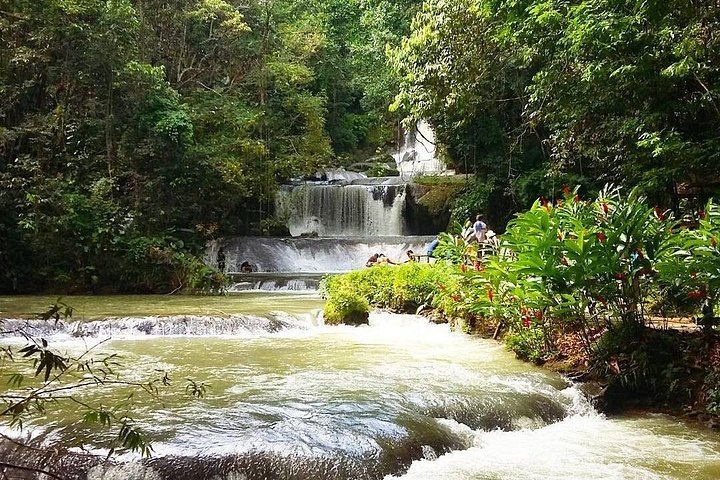 Private Black River Safari, YS Falls and Pelican Bar Day from Montego Bay with Entry Fees (4/12)