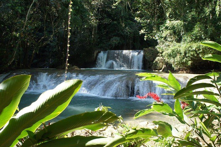 Private YS Falls Day from Negril with Entrance Fees, Lunch and a Cooler of Drinks (2/5)