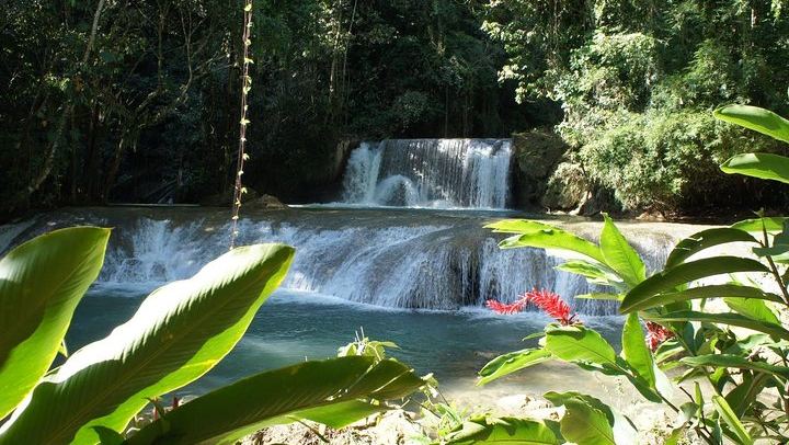 Private YS Falls Day from Negril with Entrance Fees, Lunch and a Cooler of Drinks (2/5)