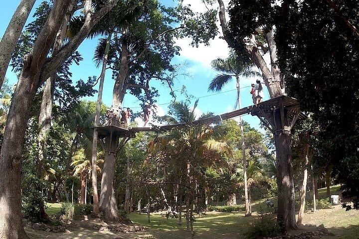 Private Dunn's River Falls Zipline and City Highlights Tour, Hotel or Port Pickup (6/6)