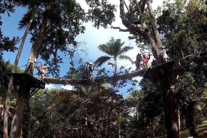 Private Dunn's River Falls Zipline and City Highlights Tour, Hotel or Port Pickup (5/6)