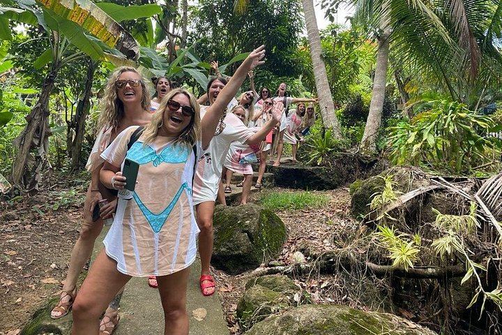Private El Yunque Outskirts Waterfall Hike and Rio Grande Juice Stop, Flexible Start (5/12)