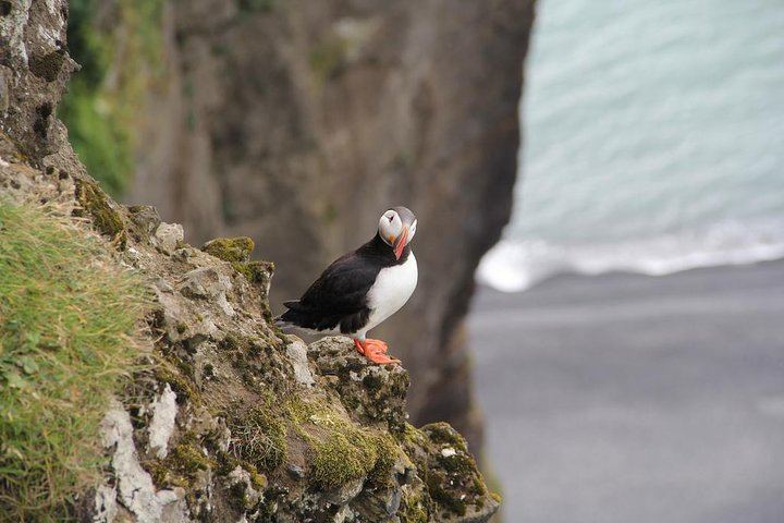 Private Guided South Coast Tour: Jokulsarlon, Diamond Beach, Dyrholaey and Vik Church View (7/10)