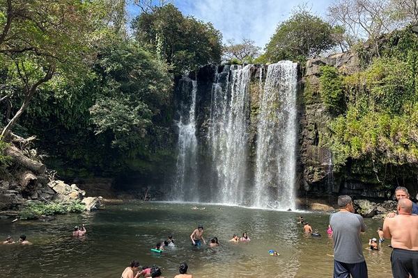 Llanos del Cortés Waterfall, Bijagua Sloths and Miravalles Volcano Hot Springs Mud Day