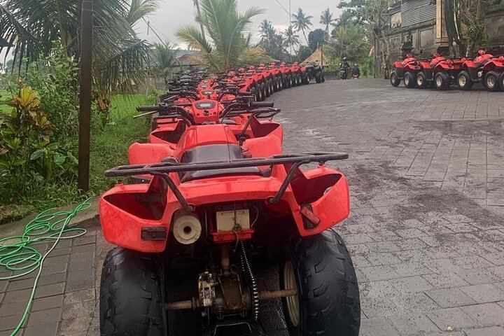 Payangan Quad Bike Ride with Long Tunnel, Big Waterfall, Shower and Lunch (5/6)