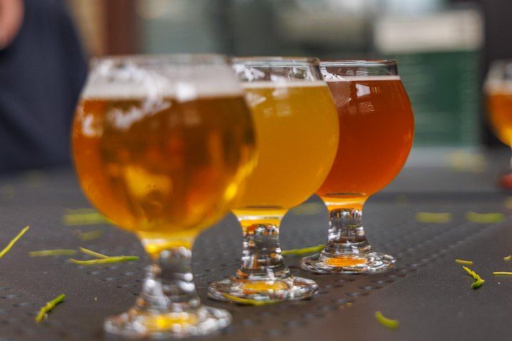 Montmorency Falls E-Bike Ride from La Barberie Microbrewery with Island Tasting (7/12)