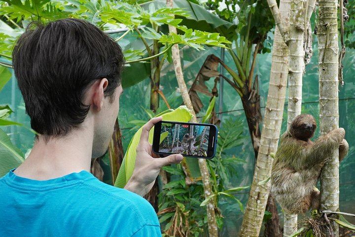 Private Tree Chocolate Farm, Spring Paradise Wildlife Walk and Llanos del Cortés Swim (1/12)