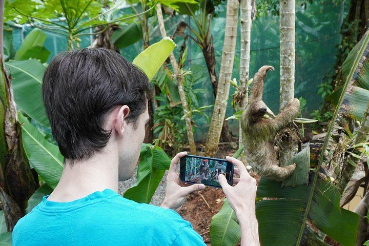 Private Tree Chocolate Farm, Spring Paradise Wildlife Walk and Llanos del Cortés Swim (4/12)