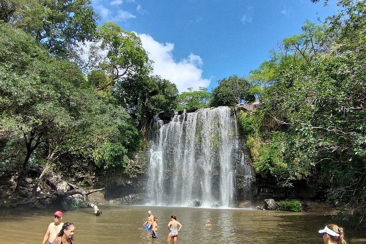 Private Tree Chocolate Farm, Spring Paradise Wildlife Walk and Llanos del Cortés Swim (6/12)