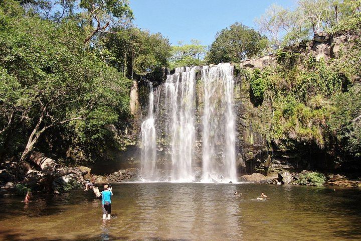 Private Tree Chocolate Farm, Spring Paradise Wildlife Walk and Llanos del Cortés Swim (2/12)