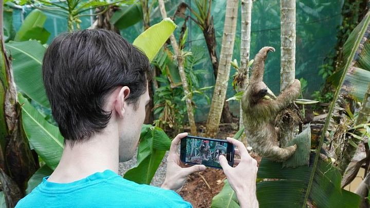 Private Tree Chocolate Farm, Spring Paradise Wildlife Walk and Llanos del Cortés Swim (4/12)