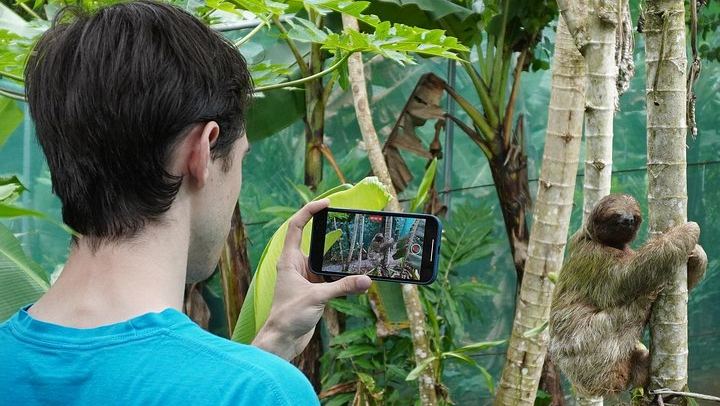 Private Tree Chocolate Farm, Spring Paradise Wildlife Walk and Llanos del Cortés Swim (1/12)