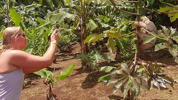 Private Tree Chocolate Farm, Spring Paradise Wildlife Walk and Llanos del Cortés Swim (3/12)