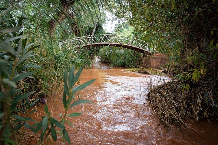 Ouzoud Waterfalls Full-Day Tour with Guided Hike, Boat Ride and Berber Meal (11/12)