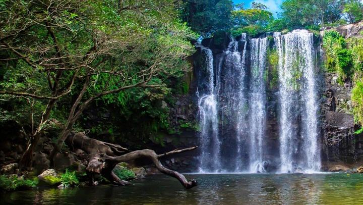 Bijagua Rainforest Trails, Llanos de Cortés Swim and Family Chocolate and Coffee Farm (1/4)