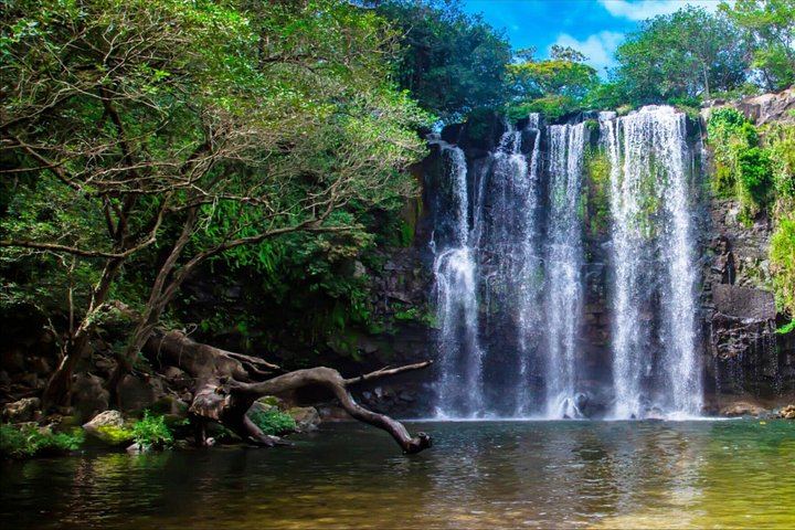 Bijagua Rainforest Trails, Llanos de Cortés Swim and Family Chocolate and Coffee Farm (1/4)