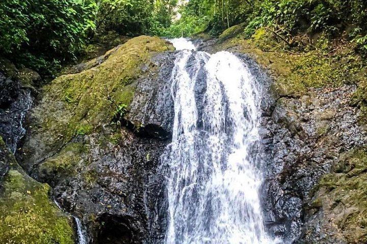 Horseback Ride to the 180-Foot El Encanto Waterfall at Ocean Ranch Park, Jaco (10/11)