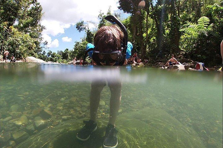 El Yunque River Trek with Rope Swing and Waterslide from a Condado Supermarket, Max 12 (11/12)