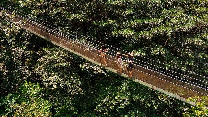 Quepos Rainforest Reserve Waterfall Hike with Hanging Bridges and Lunch in a Local Home (3/12)