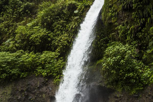 Jaco Waterfall Tours