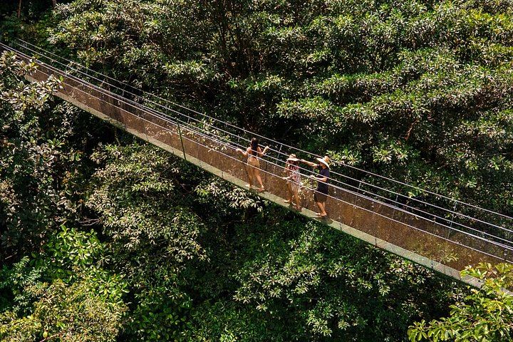 Quepos Rainforest Reserve Waterfall Hike with Hanging Bridges and Lunch in a Local Home (3/12)