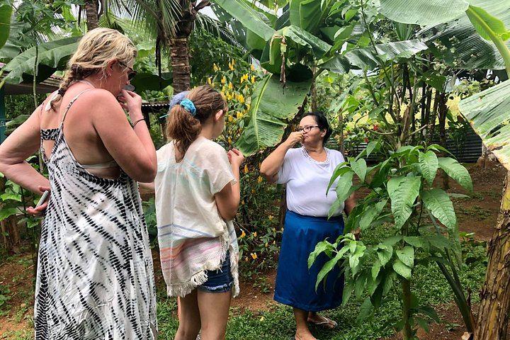 Quepos Rainforest Reserve Waterfall Hike with Hanging Bridges and Lunch in a Local Home (11/12)