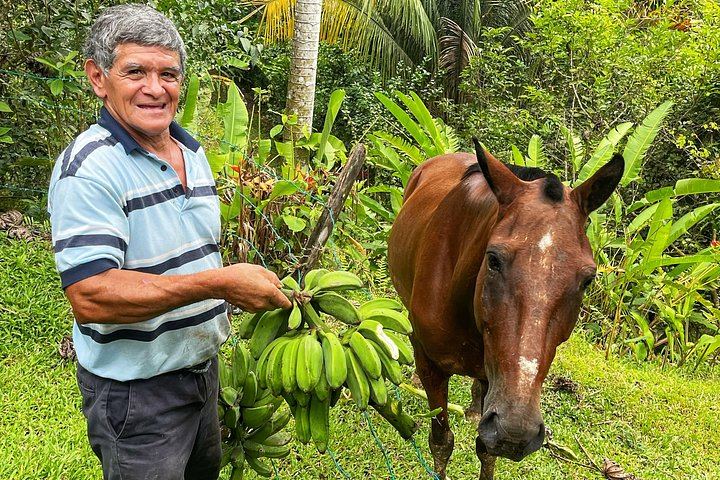 Quepos Rainforest Reserve Waterfall Hike with Hanging Bridges and Lunch in a Local Home (6/12)