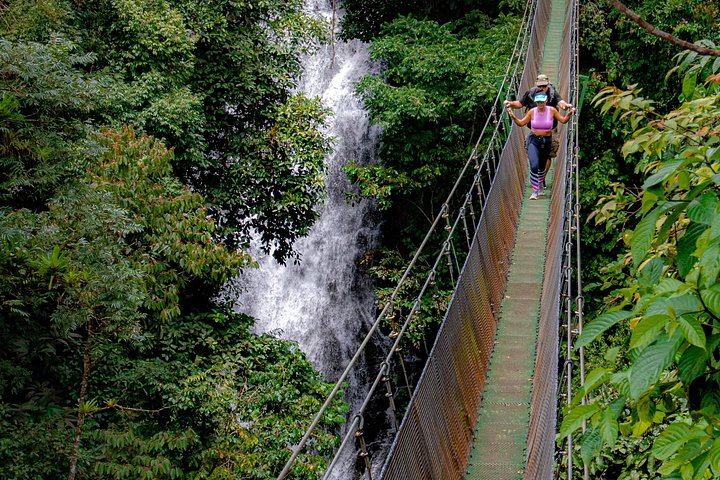 Quepos Rainforest Reserve Waterfall Hike with Hanging Bridges and Lunch in a Local Home (9/12)