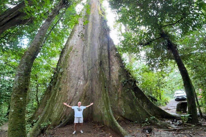 Lifetime Travel CR: Llanos de Cortez Swim and Las Hornillas Walkable Crater with Mud Baths (11/12)