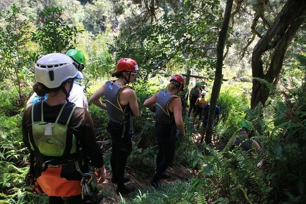 Rappel Maui: Waterfall and Cliff Rappelling in a Private Valley on the Road to Hana