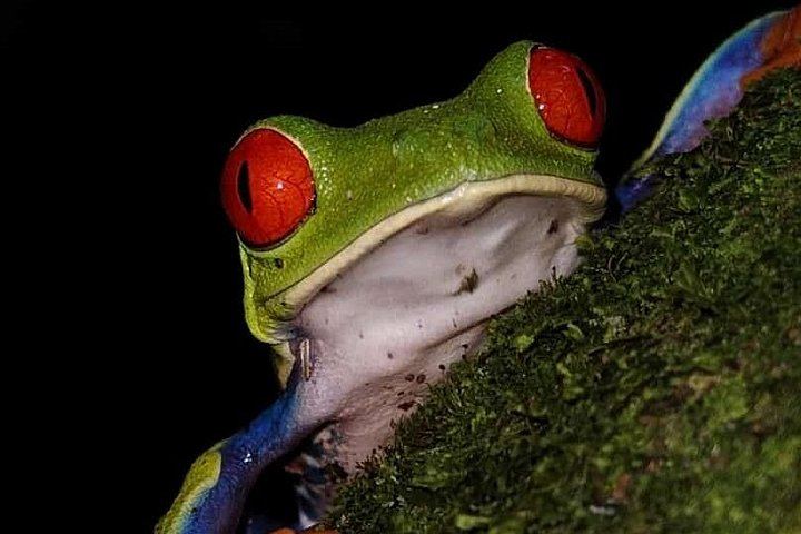 Private Bijagua Sloth Walk and Llanos del Cortez Tiered Waterfalls near Bagaces (10/12)