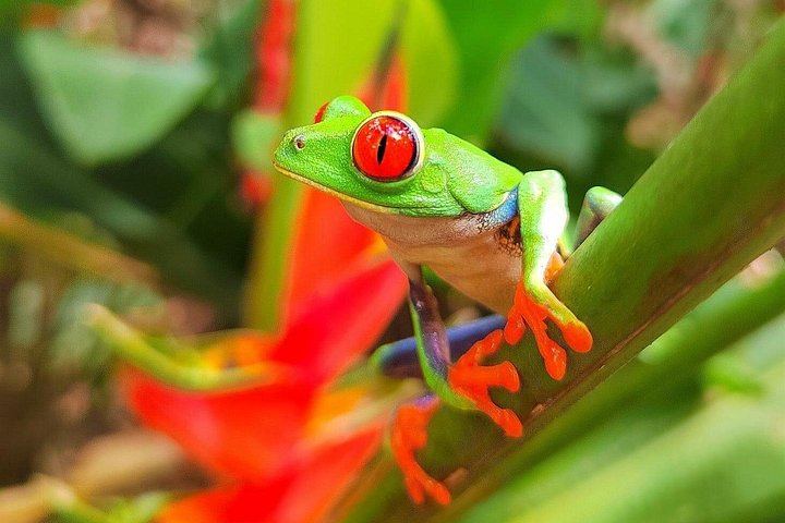 Private Bijagua Sloth Walk and Llanos del Cortez Tiered Waterfalls near Bagaces (5/12)