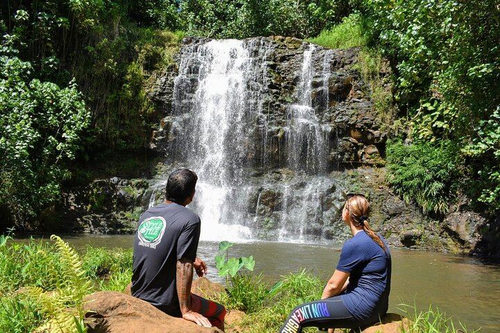 Private Property Hike to Bamboo Falls and Papakolea Falls in Lihue, 90-Minute Swim Tour (1/10)