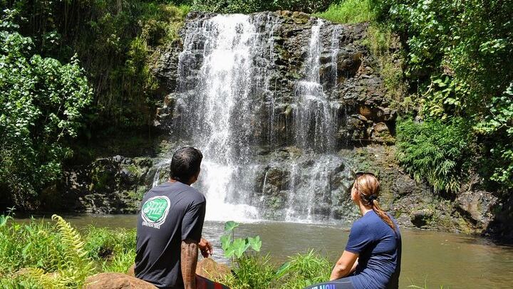 Private Property Hike to Bamboo Falls and Papakolea Falls in Lihue, 90-Minute Swim Tour (1/10)