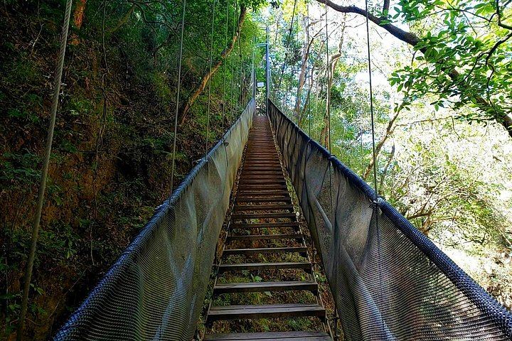 Oropendola Waterfall, Rio Negro Hot Springs and Mud Bath Day from Selected Hotels (4/9)