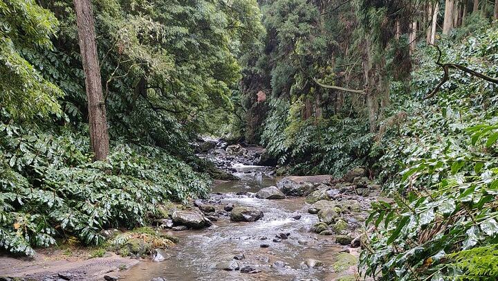 Walking Route to Salto do Cabrito, Salto da Farinha and Ribeira dos Caldeirões (1/12)